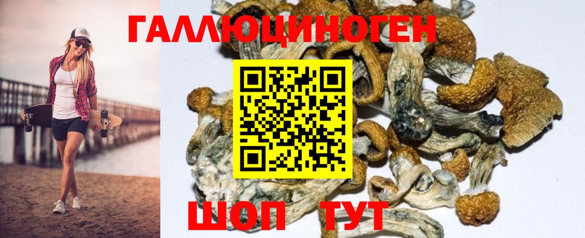 Галлюциногенные грибы Psilocybe Асбест