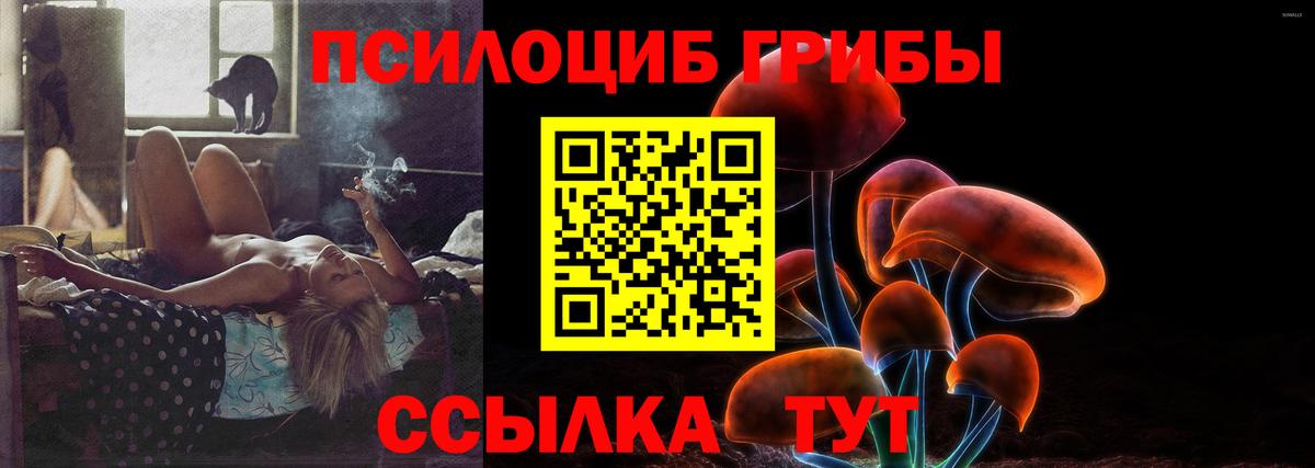 Галлюциногенные грибы Cubensis  Вход с VPN  Асбест 